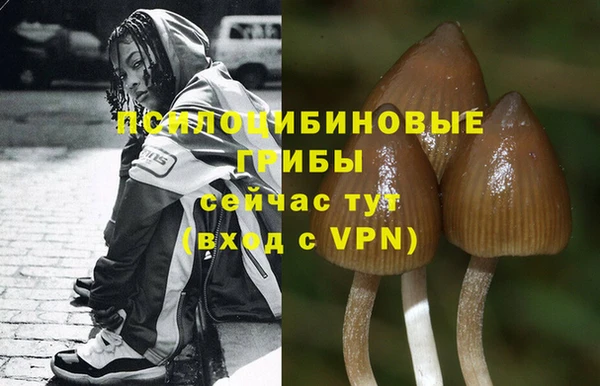 кокаин премиум Белокуриха