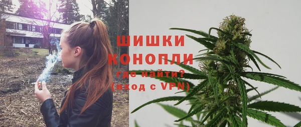 СК Богородск