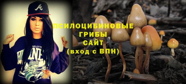 ПСИЛОЦИБИНОВЫЕ ГРИБЫ Беломорск