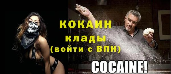 прущие крисы Каменка