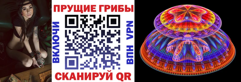 KRAKEN онион  Бирюсинск  Псилоцибиновые грибы Psilocybe 